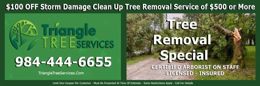 Durham Tree Removal Coupon