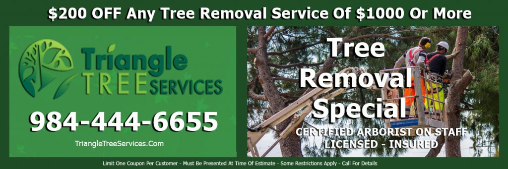 200 Off Tree Removal Service Coupon