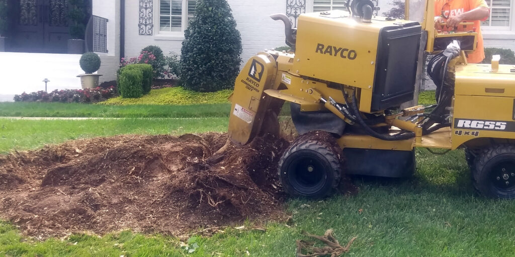 Calvander Tree Stump Removal
